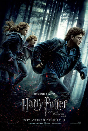 Harry Potter and the Deathly Hallows – Part 1, Warner Bros. Entertainment  Wiki