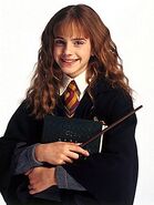 Hermione Granger The Harry Potter film series (2001-2011)