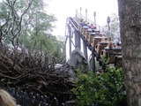 Flight of the Hippogriff