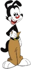 Yakko Warner.png (133 KB)