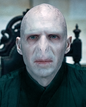 Lord Voldemort Warner Bros Entertainment Wiki Fandom