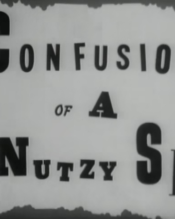 Confusions Of A Nutzy Spy Warner Bros Entertainment Wiki Fandom