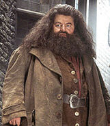 Rubeus Hagrid (Harry Potter franchise; 2001-2022)