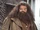 Rubeus Hagrid