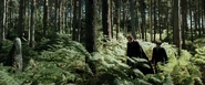 Harry-potter3-movie-screencaps.com-6803.jpg (617 KB)