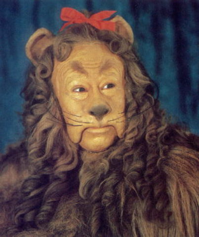 wizard of oz lion face