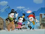 Animaniacs 27369 4.jpg (23 KB)