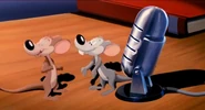 Space Jam