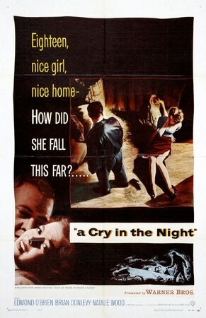 Strangers in the Night (1993) - IMDb