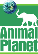 Animal Planet logo used from June 1, 1996 to September 6, 2006.