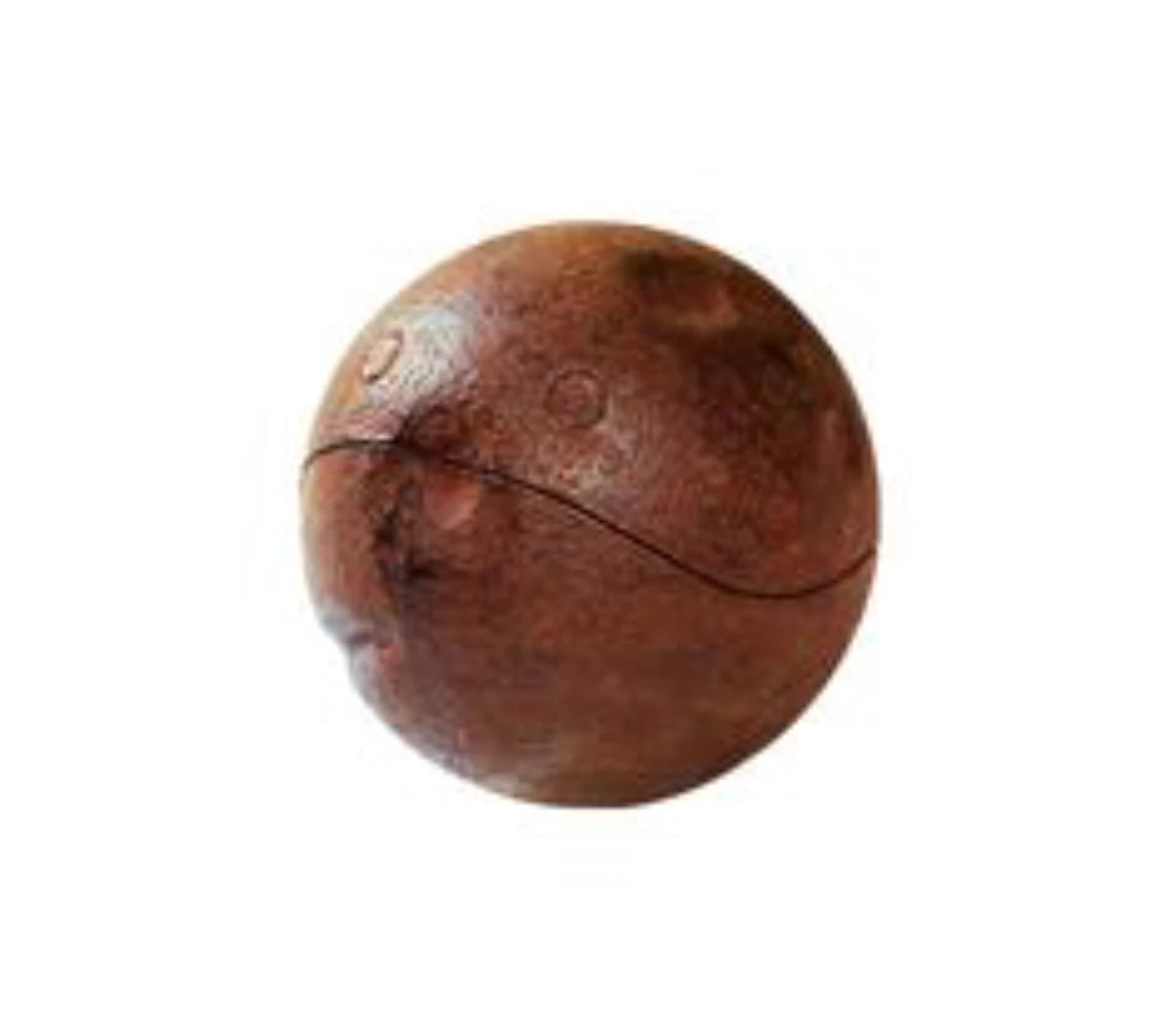 Bludger Warner Bros. Entertainment Wiki Fandom