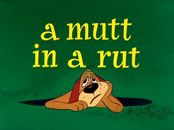 A mutt in a rut store