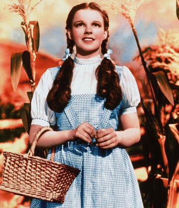 how to do wizard of oz dorothy hair