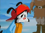 Sad Wakko.png (468 KB)
