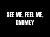 See Me, Feel Me, Gnomey