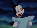 Yakko