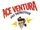 Ace Ventura: Pet Detective (TV series)