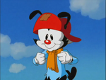 Wakko wished for...