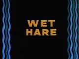 Wet Hare