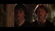 Ron is devastated to hear that his sister, Ginny has been taken into the Chamber of Secrets.