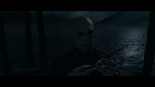 Harry-potter-deathly-hallows1-movie-screencaps