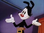 Yakko26.jpg (25 KB)