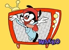 Wb-anim-character-wakko 570x420.png (214 KB)