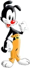 Yakko (2).jpg (22 KB)