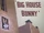 Big House Bunny