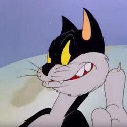 Merrie melodies hot sale characters