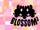 Blossom³