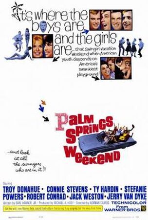Palm Springs movie review & film summary (2020)