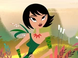 Ashi