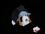 Yakko's got a nose!.png (154 KB)