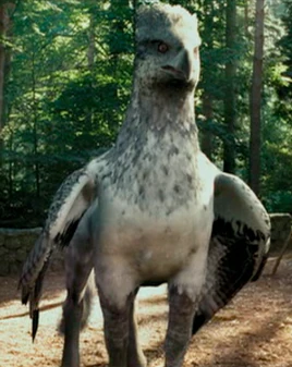 Buckbeak harry potter profile