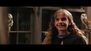 Hermione runs into Harry in Diagon Alley