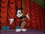 Yakko (1).jpg (35 KB)