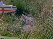 Screenshot 2025-12-09 135510