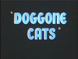 Doggone Cats
