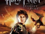 Harry Potter and the Goblet of Fire (video game)