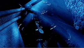 D276B410-85A7-4D3E-8810-CCFAED8E5F1A