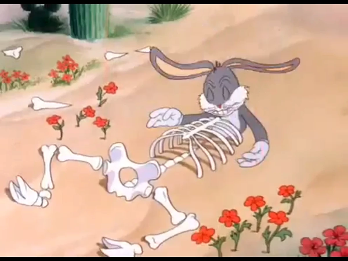 footlocker bugs bunny