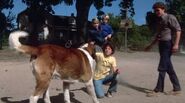 Brett introducing Cujo to the Trentons, reassuring them that he's completely harmless.