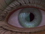 Shane's Eye