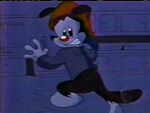Animaniacs-IT.jpg (53 KB)