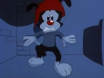 Animaniacs - IT.jpg (11 KB)