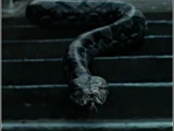 Nagini