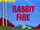 Rabbit Fire