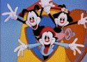 Animaniacs intro.png (27 KB)