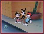 Animaniacs PW